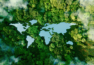 Technology Leaders Can Lead the Way on Sustainability