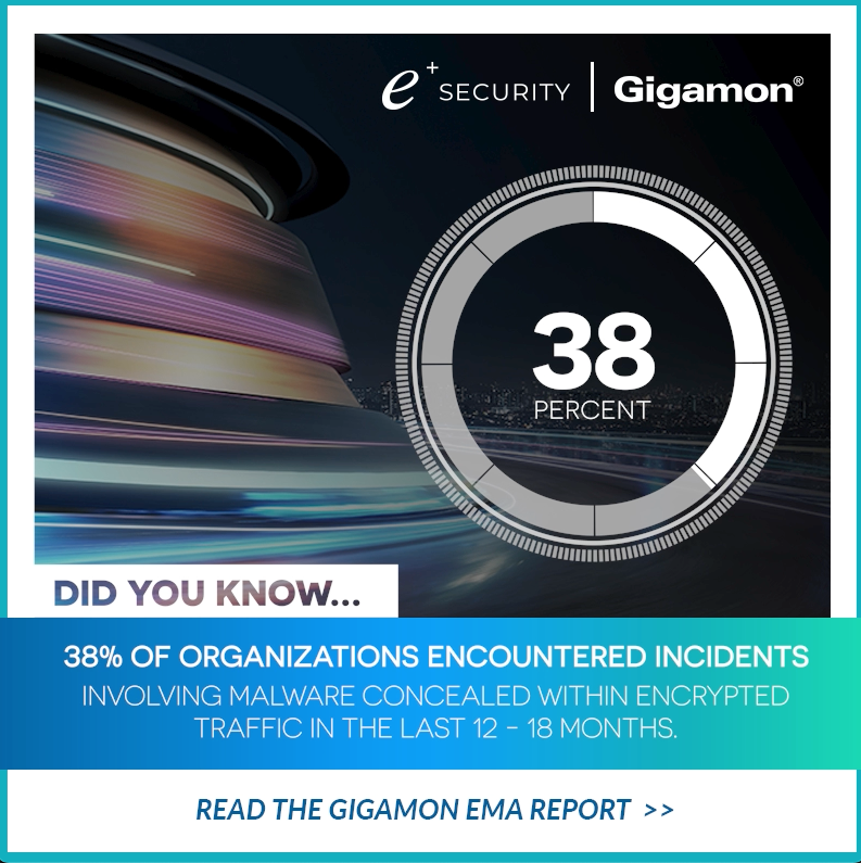 Gigamon EMA Report