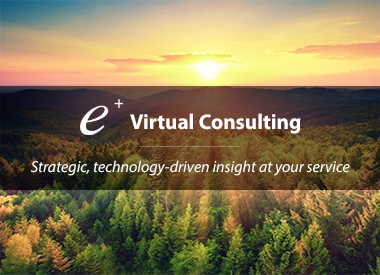 Virtual Consulting