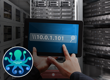 Microsoft Network Ranges