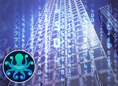 Making Sense of Governance Data