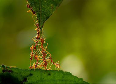 Perspective: The Key to Thriving Through Disruption