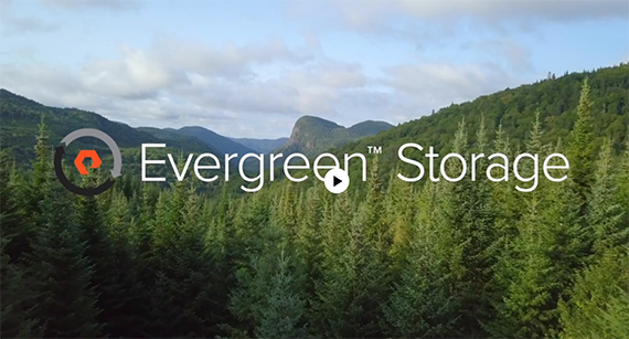 Evergreen Storage video clip